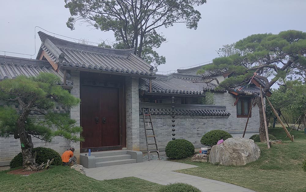 聚鑫汇 09967